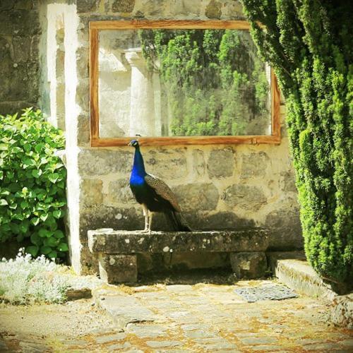 Domaine De Frevent Bed and Breakfast Echouboulains Exteriör bild